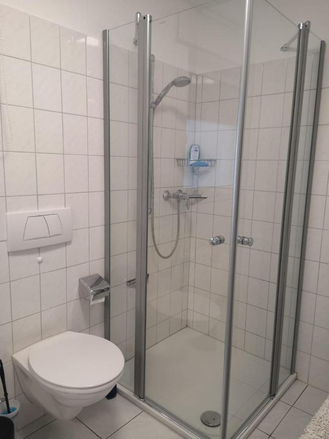 Helene Lägenhet Bad Säckingen Exteriör bild